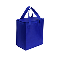 Load image into Gallery viewer, Large Cooler Bags - High-Capacity Insulated Cooler - Buy in Bulk 10 or 20 units