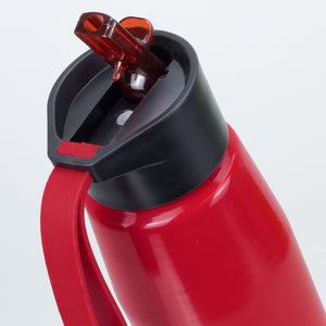 Delano Aluminium Bottle – 700ml Flip Straw, Carry Handle & Gift Box